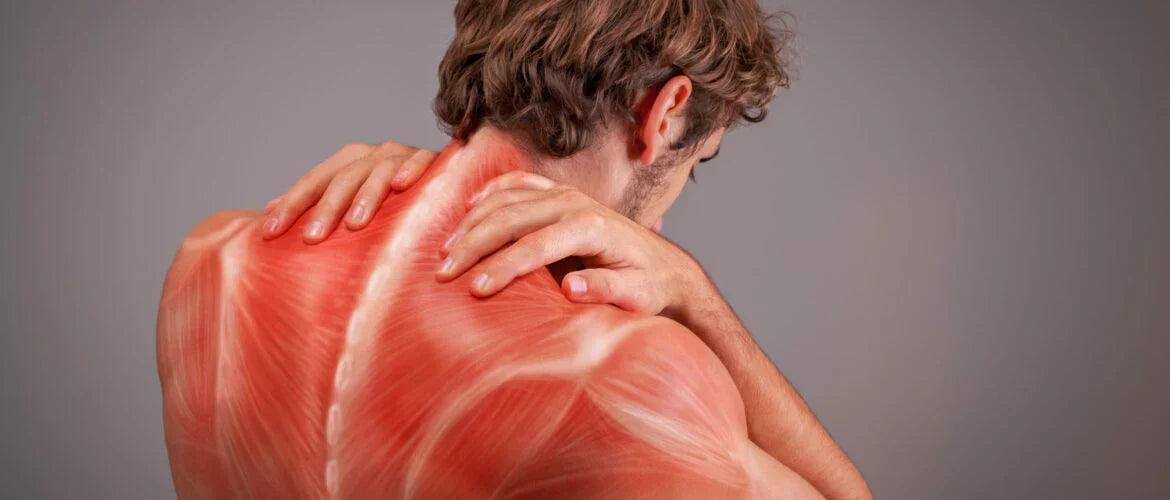 Extracellular and Intracellular Fluid Shifts on the Onset of Transcutaneous Auricular Vagus Nerve Stimulation